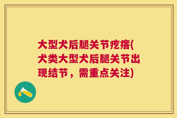 大型犬后腿关节疙瘩(犬类大型犬后腿关节出现结节，需重点关注)