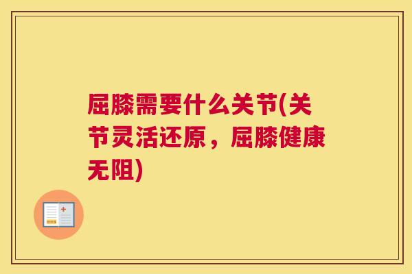 屈膝需要什么关节(关节灵活还原，屈膝健康无阻)