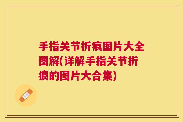 手指关节折痕图片大全图解(详解手指关节折痕的图片大合集)
