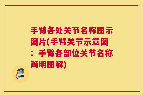 手臂各处关节名称图示图片(手臂关节示意图：手臂各部位关节名称简明图解)