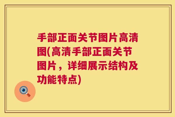 手部正面关节图片高清图(高清手部正面关节图片，详细展示结构及功能特点)
