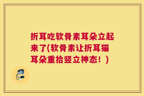 折耳吃软骨素耳朵立起来了(软骨素让折耳猫耳朵重拾竖立神态！)
