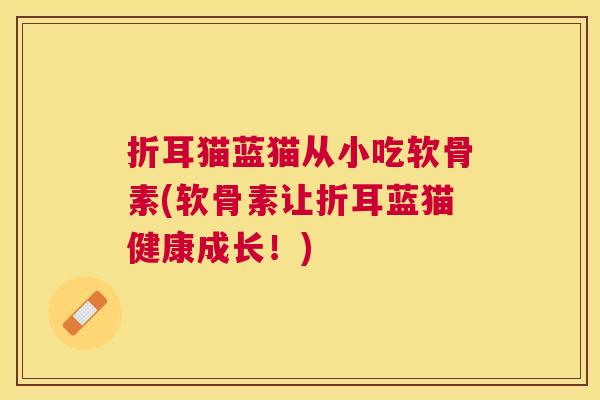 折耳猫蓝猫从小吃软骨素(软骨素让折耳蓝猫健康成长！)