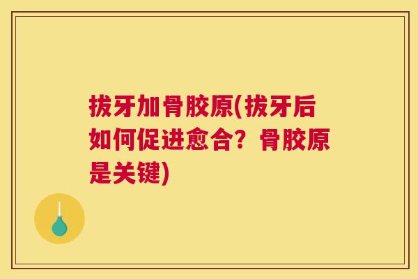 拔牙加骨胶原(拔牙后如何促进愈合？骨胶原是关键)