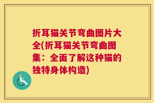 折耳猫关节弯曲图片大全(折耳猫关节弯曲图集：全面了解这种猫的独特身体构造)