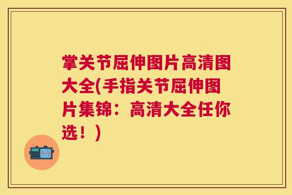 掌关节屈伸图片高清图大全(手指关节屈伸图片集锦：高清大全任你选！)