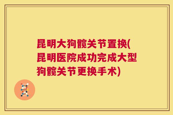 昆明大狗髋关节置换(昆明医院成功完成大型狗髋关节更换手术)