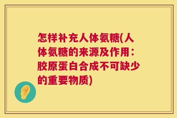 怎样补充人体氨糖(人体氨糖的来源及作用：胶原蛋白合成不可缺少的重要物质)