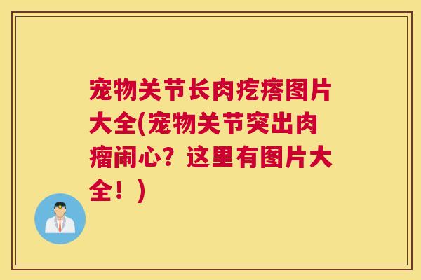 宠物关节长肉疙瘩图片大全(宠物关节突出肉瘤闹心？这里有图片大全！)