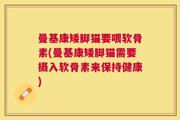 曼基康矮脚猫要喂软骨素(曼基康矮脚猫需要摄入软骨素来保持健康)