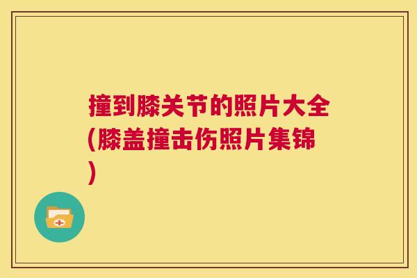 撞到膝关节的照片大全(膝盖撞击伤照片集锦)