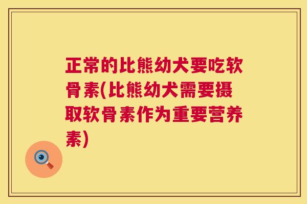 正常的比熊幼犬要吃软骨素(比熊幼犬需要摄取软骨素作为重要营养素)