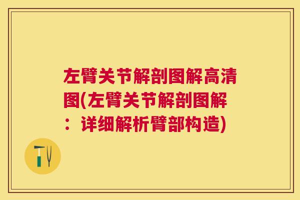 左臂关节解剖图解高清图(左臂关节解剖图解：详细解析臂部构造)