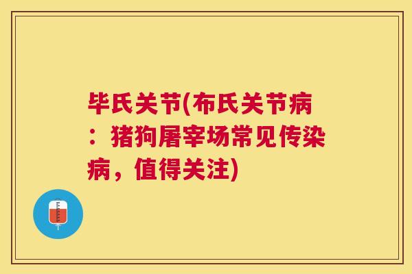 毕氏关节(布氏关节病：猪狗屠宰场常见传染病，值得关注)