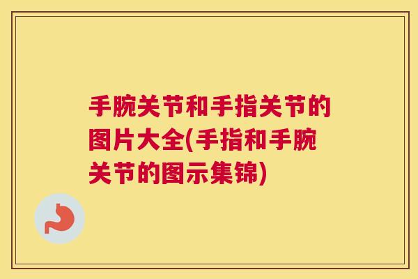 手腕关节和手指关节的图片大全(手指和手腕关节的图示集锦)