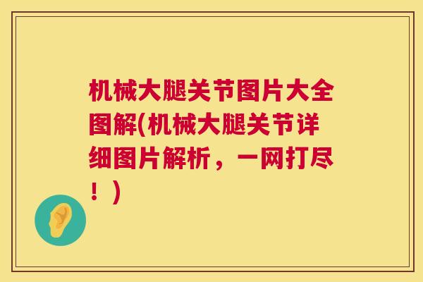 机械大腿关节图片大全图解(机械大腿关节详细图片解析，一网打尽！)