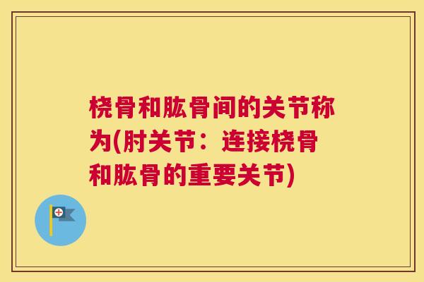 桡骨和肱骨间的关节称为(肘关节：连接桡骨和肱骨的重要关节)