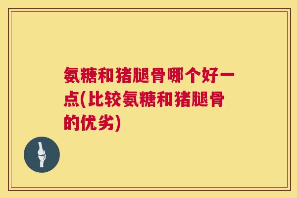 氨糖和猪腿骨哪个好一点(比较氨糖和猪腿骨的优劣)