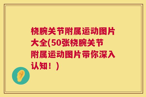 桡腕关节附属运动图片大全(50张桡腕关节附属运动图片带你深入认知！)
