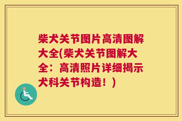 柴犬关节图片高清图解大全(柴犬关节图解大全：高清照片详细揭示犬科关节构造！)
