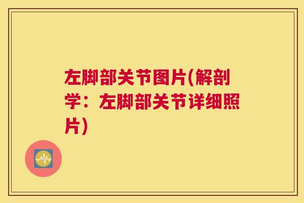 左脚部关节图片(解剖学：左脚部关节详细照片)