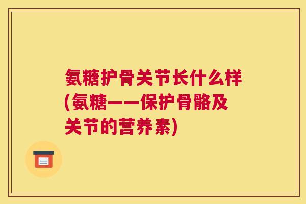 氨糖护骨关节长什么样(氨糖——保护骨骼及关节的营养素)