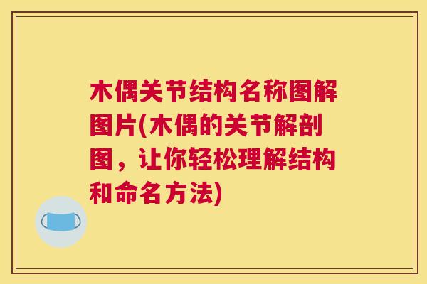 木偶关节结构名称图解图片(木偶的关节解剖图，让你轻松理解结构和命名方法)