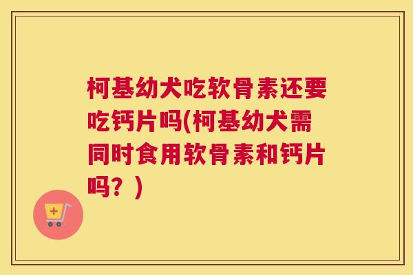 柯基幼犬吃软骨素还要吃钙片吗(柯基幼犬需同时食用软骨素和钙片吗？)