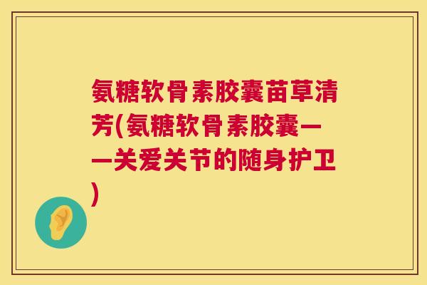氨糖软骨素胶囊苗草清芳(氨糖软骨素胶囊——关爱关节的随身护卫)