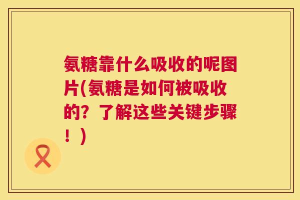 氨糖靠什么吸收的呢图片(氨糖是如何被吸收的？了解这些关键步骤！)
