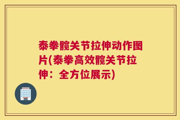 泰拳髋关节拉伸动作图片(泰拳高效髋关节拉伸：全方位展示)