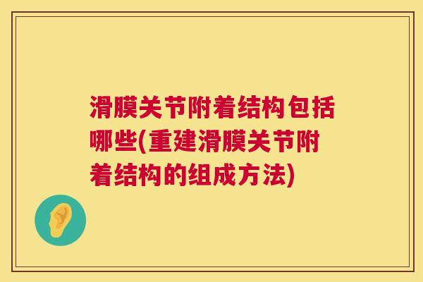 滑膜关节附着结构包括哪些(重建滑膜关节附着结构的组成方法)