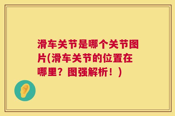 滑车关节是哪个关节图片(滑车关节的位置在哪里？图强解析！)