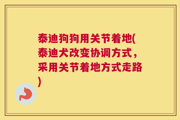 泰迪狗狗用关节着地(泰迪犬改变协调方式，采用关节着地方式走路)