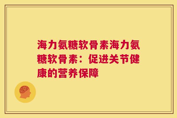 海力氨糖软骨素海力氨糖软骨素：促进关节健康的营养保障