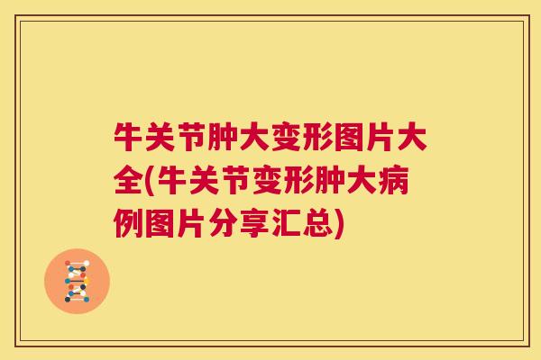 牛关节肿大变形图片大全(牛关节变形肿大例图片分享汇总)