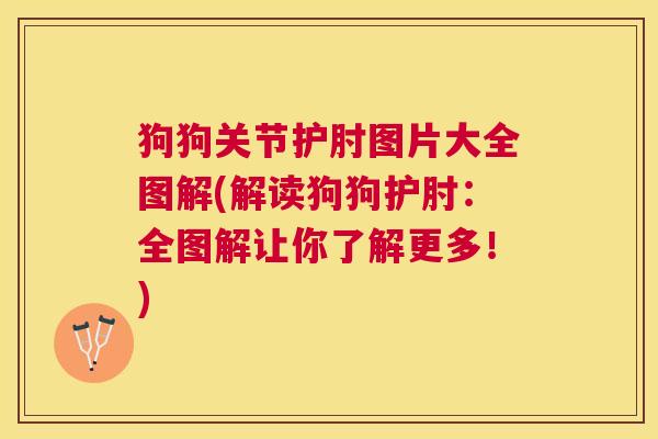 狗狗关节护肘图片大全图解(解读狗狗护肘：全图解让你了解更多！)