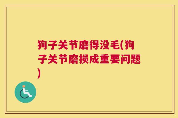 狗子关节磨得没毛(狗子关节磨损成重要问题) 狗子关节磨得没毛(狗子关节磨损成重要问题)
