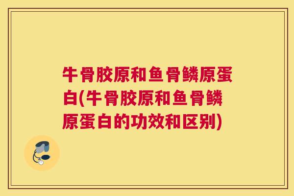 牛骨胶原和鱼骨鳞原蛋白(牛骨胶原和鱼骨鳞原蛋白的功效和区别)