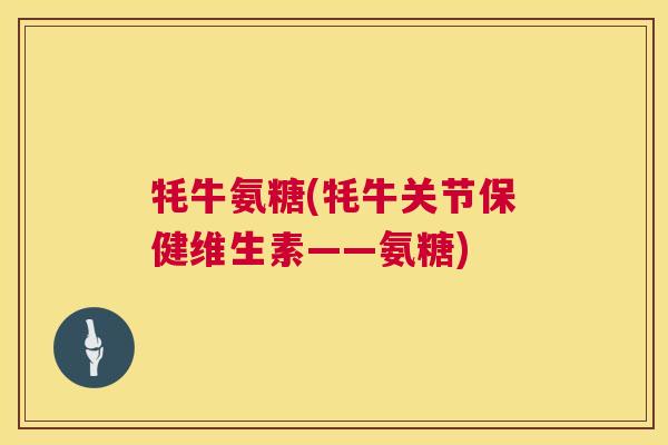 牦牛氨糖(牦牛关节保健维生素——氨糖)