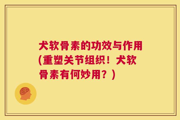 犬软骨素的功效与作用(重塑关节组织！犬软骨素有何妙用？)