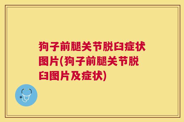 狗子前腿关节脱臼症状图片(狗子前腿关节脱臼图片及症状)