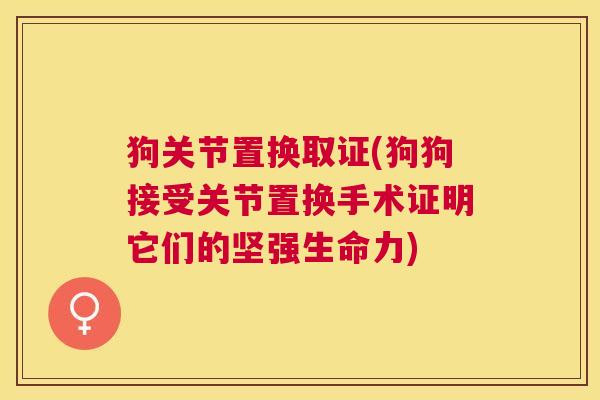 狗关节置换取证(狗狗接受关节置换手术证明它们的坚强生命力)