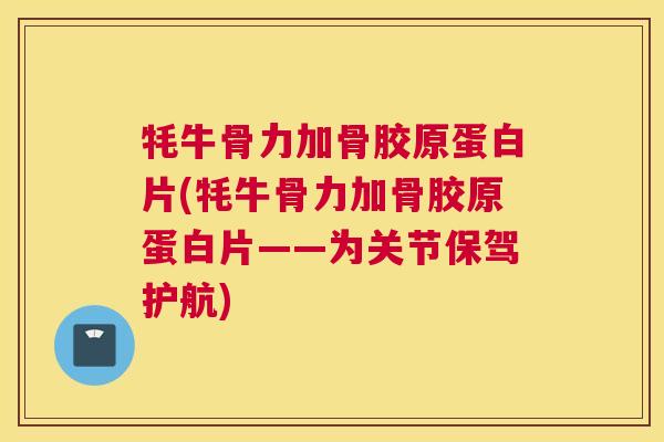 牦牛骨力加骨胶原蛋白片(牦牛骨力加骨胶原蛋白片——为关节保驾护航)