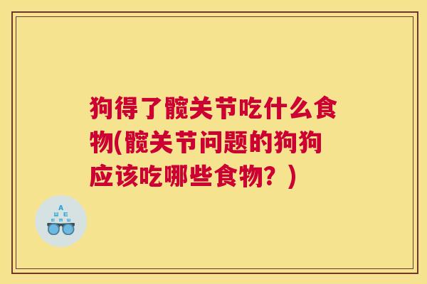 狗得了髋关节吃什么食物(髋关节问题的狗狗应该吃哪些食物？)