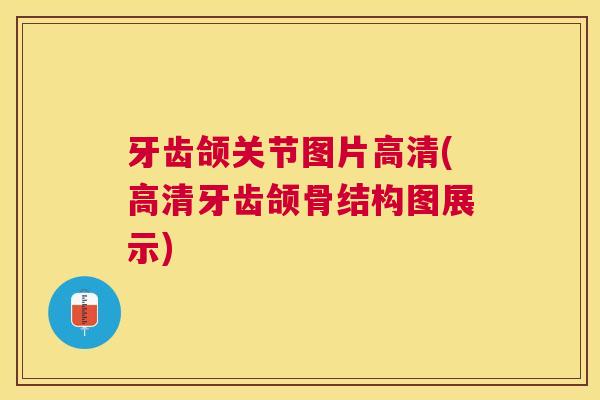 牙齿颌关节图片高清(高清牙齿颌骨结构图展示)