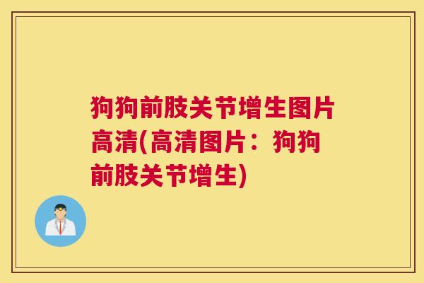 狗狗前肢关节增生图片高清(高清图片：狗狗前肢关节增生)
