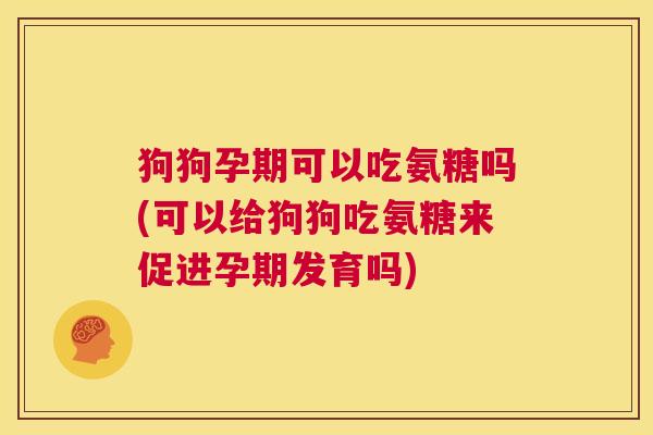 狗狗孕期可以吃氨糖吗(可以给狗狗吃氨糖来促进孕期发育吗)