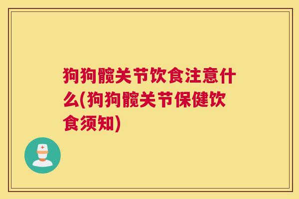 狗狗髋关节饮食注意什么(狗狗髋关节保健饮食须知)