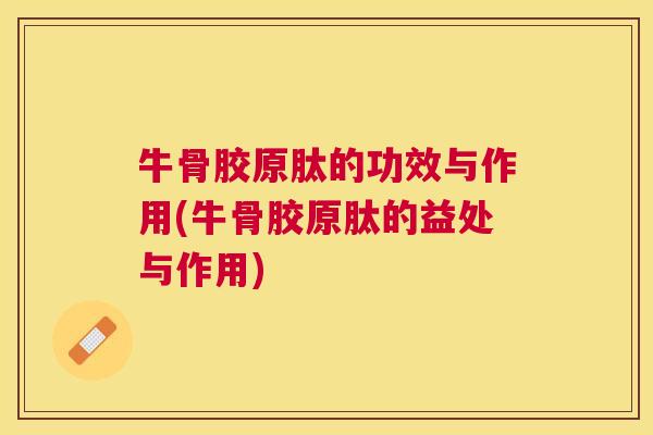 牛骨胶原肽的功效与作用(牛骨胶原肽的益处与作用)